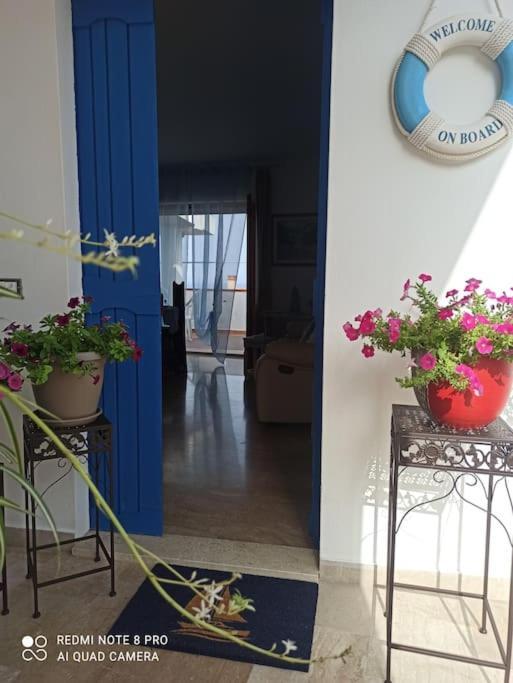 קאלה גונונה Haiku Home מראה חיצוני תמונה