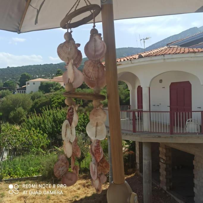 קאלה גונונה Haiku Home מראה חיצוני תמונה