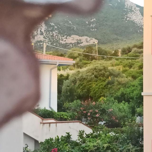 קאלה גונונה Haiku Home מראה חיצוני תמונה